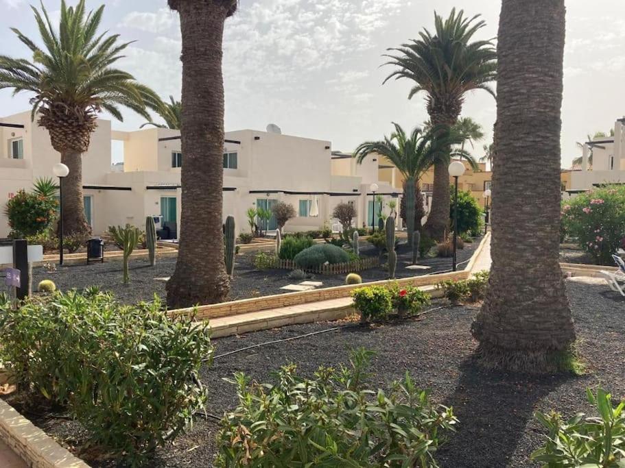 Corralejo Suite Pool & Gardens - Alisios Playa Exteriér fotografie