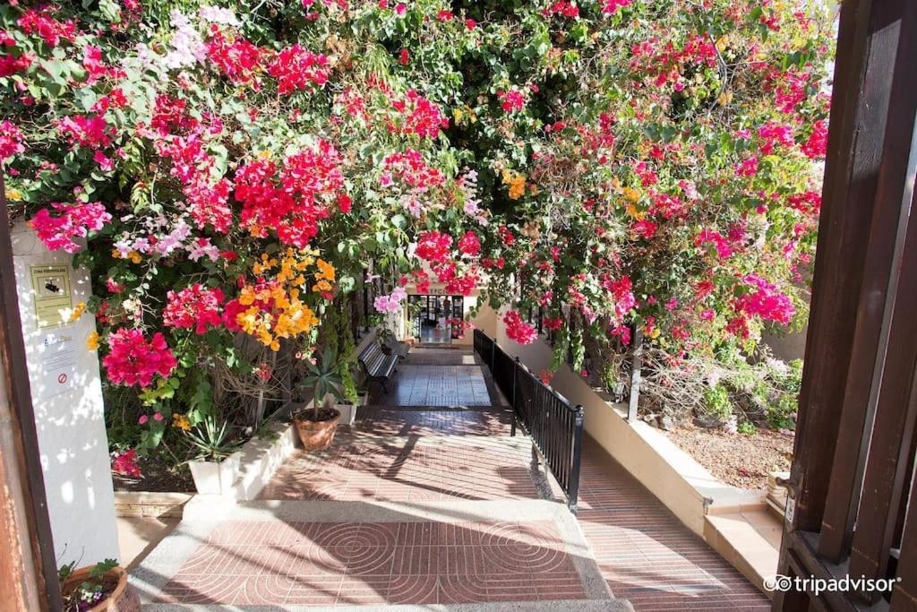 Corralejo Suite Pool & Gardens - Alisios Playa Exteriér fotografie